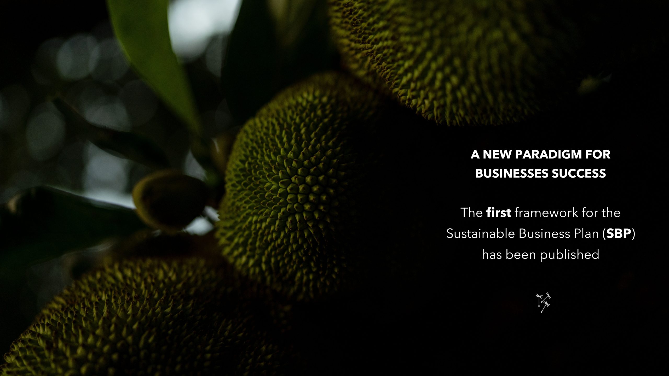 Close-up of green tropical fruit with textured surface, surrounded by foliage. Text reads: 'A new paradigm for business success. The first framework for the Sustainable Business Plan (SBP) has been published.'